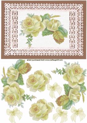 Elegant Floral Cream Rose on Ecru Lace Fancy Frame