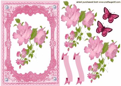 Pink Wild Rose in Pink Lace Frame