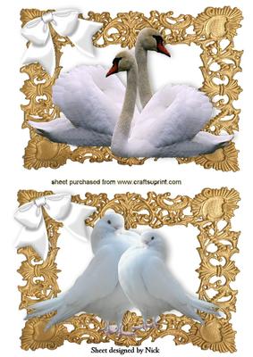 White Swans, and White Doves Toppers in Ornate Frames