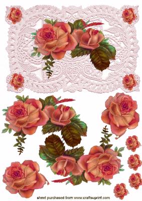 Elegant Floral Rose in Shades of Red on Lace Background Quick Card