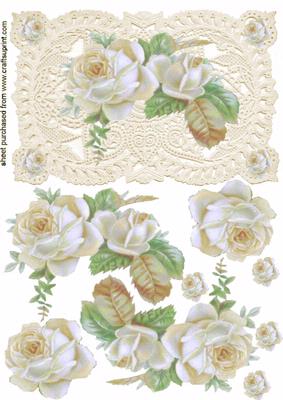 Elegant Floral Rose in Shades of White on Lace Background