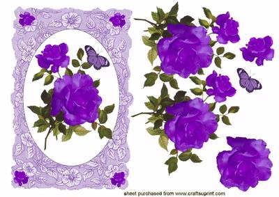 Elegant Floral Rose in Shades of Purple on Lace Background Quick Card