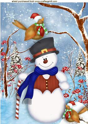 Snowman with Robins in the Snow A4