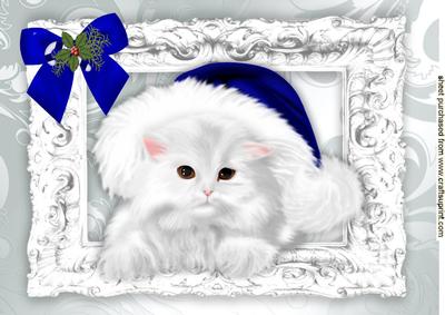 Fluffy White Kitten in Blue Santa Hat with Bow A4