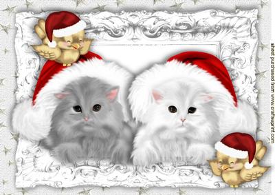 Fluffy Kittens in Santa Hats with Cheeky Little Robins A4