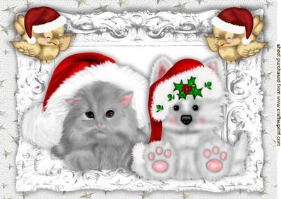 Cute Grey Kitten with Puppy and Cheeky Robins A4