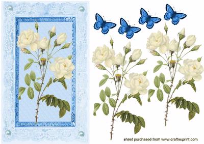 Cream Roses on Lace Frame Quick Card
