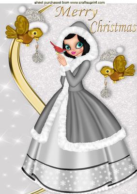 Pretty Lady in Silver with Cute Little Robins A4