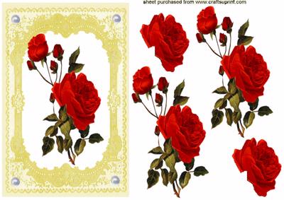 Elegant Red Roses on Pretty Gold Frame Lace