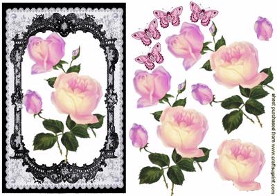 Elegant Pink Roses in Black Lace Frame