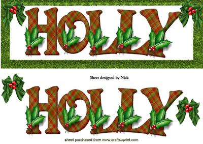 Lovely "holly" Word with Holly in Tartan Dl