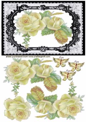 Elegant Cream Roses on Effective Lace Background