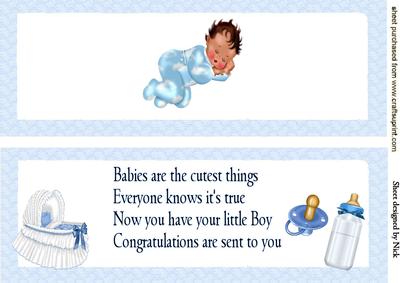Precious Baby Boy Insert Dl
