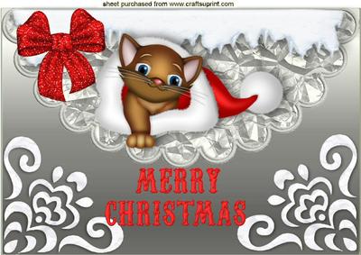 Cute Kitty in Santa Hat on Scalloped Envelope A4