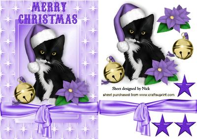 Cute Kitten in Santa Hat with Star Frame