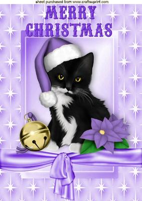 Cute Kitten with Santa Hat in Star Frame A4