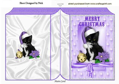 Cute Kitty in Santa Hat in Star Frame Folded Book