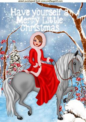 Pretty Lady in Red on Horse in Snow Scene A4