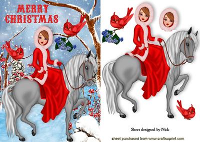 Pretty Lady in Red with Horse and Birds