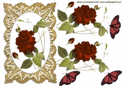 Beautiful Dark Red Rose on Gold Frame