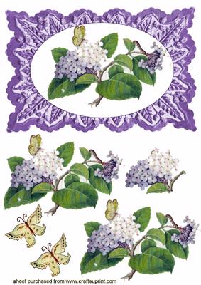 Beautiful Lavender Flowers on Purple Frame