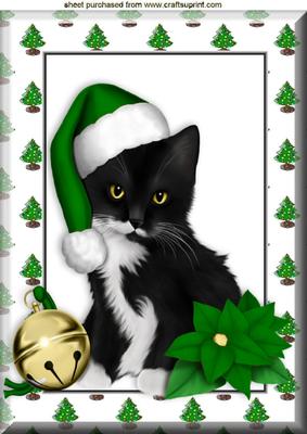 Cute Kitty in Green Santa Hat in Tree Frame A4