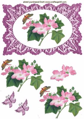 Beautiful Pink & White Roses on Pink Frame