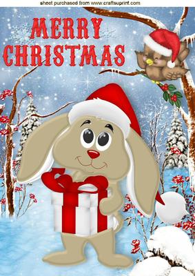 Cute Bunny in Santa Hat with Robin A4