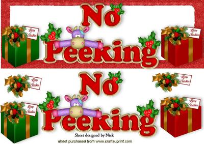 No Peeking Lovely Christmas Words with Presents Dl