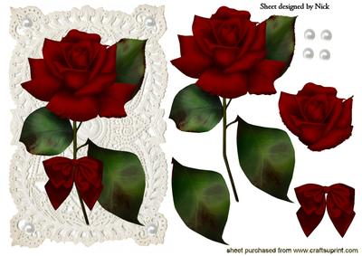 Red Rose with Bow on Vintage Lace