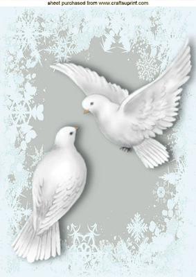 Beautiful White Doves with Silver Snowflake Background A4