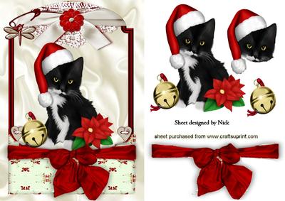 Cute Kitty in Santa Hat in Lace Frame