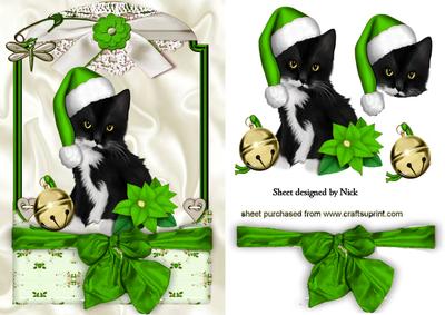 Cute Kitty in Green Santa Hat in Lace Frame