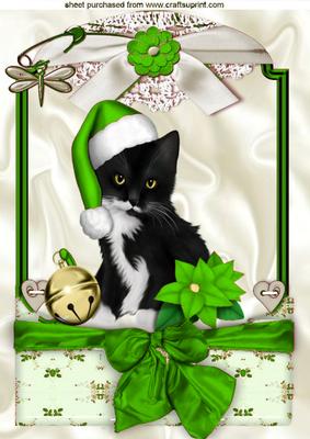 Cute Kitty in Green Santa Hat in Lace Frame A4