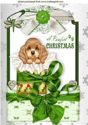 Little Puppy in a Christmas Box in Lace Frame A4