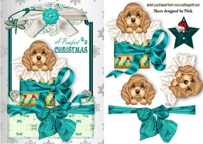 Little Puppy in Christmas Box in Turq Lace Frame