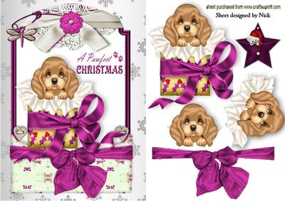 Little Puppy in Christmas Box in Pink Lace Frame