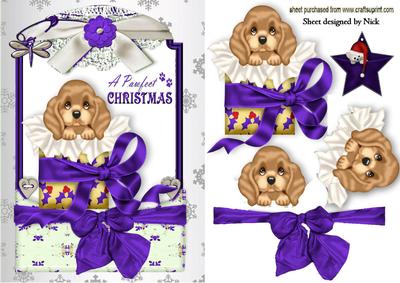 Little Puppy in Christmas Box in Purple Lace Frame