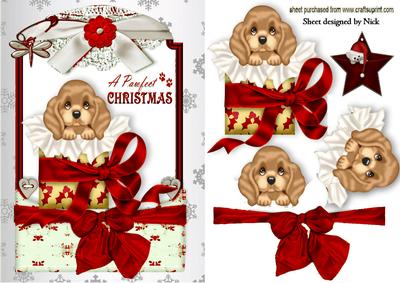 Little Puppy in Christmas Box in Red Lace Frame