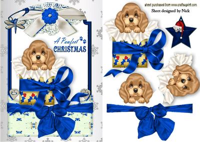 Little Puppy in Christmas Box in Blue Lace Frame