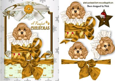 Little Puppy in Christmas Box in Gold Lace Frame