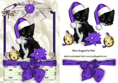 Cute Kitty in Purple Santa Hat in Lace Frame