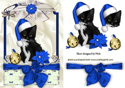 Cute Kitty in Blue Santa Hat in Lace Frame