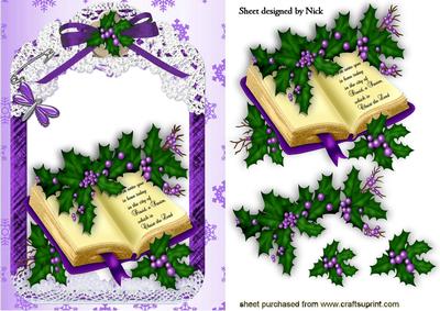 Beautiful Holy Bible with Holly in Lace Frame