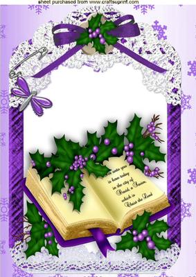 Beautiful Holy Bible with Holly in Lace Frame A4