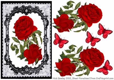 Lovely Roses in Fancy Lace Frame