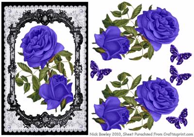 Lovely Roses in Fancy Lace Frame