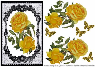 Lovely Roses in Fancy Lace Frame