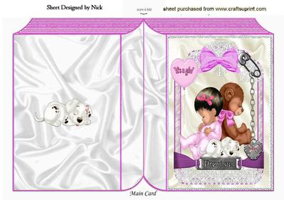 Precious Little Thing! a Baby Girl Folded Book