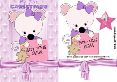 Babys First Christmas with Little Mouse